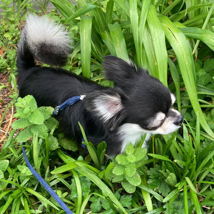 5687c332 b5c0 4c6a 8b73 7ab5d87bd57b 1621142441721