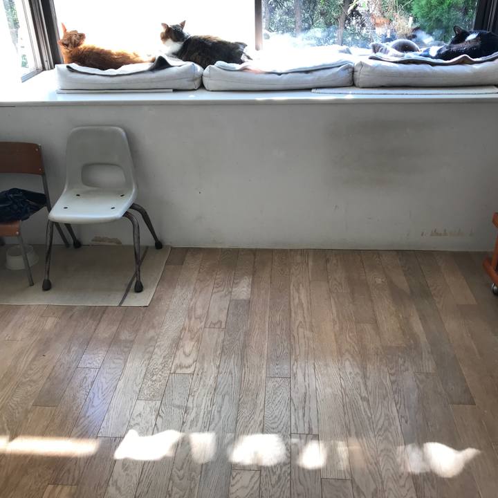 5687d5e8 b0e0 42a1 804a d68b8bc1377e 1512973394384