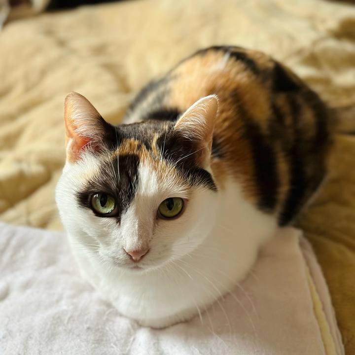 5687f1a8 abf8 4055 97b8 055e9922dc45 1700706932359