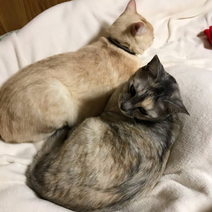 56884a16 4146 488a 8fa5 60a49a938f67 1546785538884