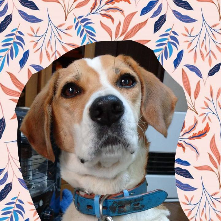 568861cb 901a 4a4b abf2 e32ac62e3f24 1607663147188