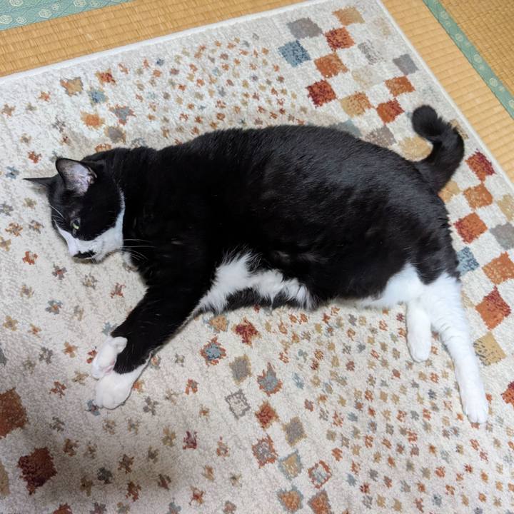 56887eca 2f9c 470b 9430 3eb9114a1a47 1758594898514