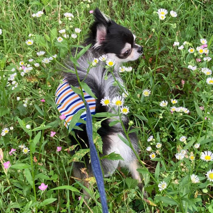 5688a3d2 a1c6 4bec a0ba f391c23b375e 1688222214251