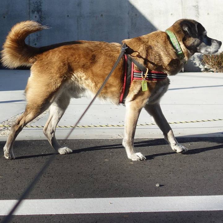 5688d169 52db 422c 869c ca2e0c757136 1548462700342