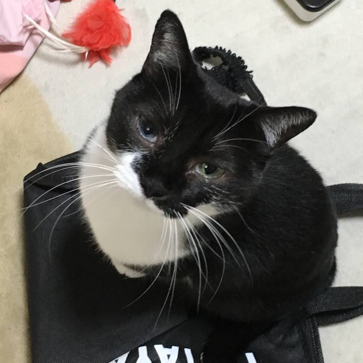 5688d7ab 5e1a 4c19 9850 c4695d4b83a8 1536051906679