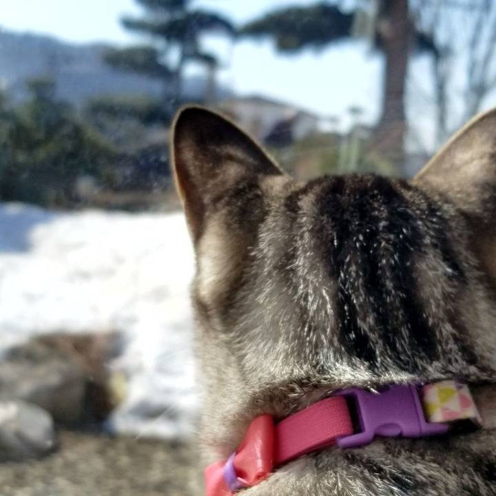 5688fe92 a4af 4bd3 ba3a e35b887a47c3 1680071632334