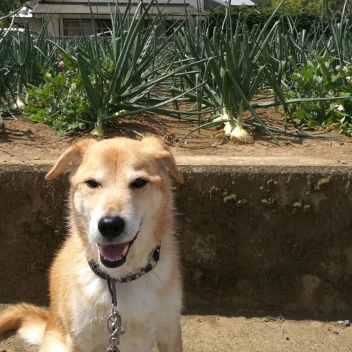 56890ce1 c7bf 404a ad59 faa9792d00bc 1523591239111