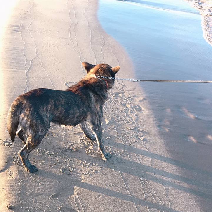 56892b30 489f 40b5 80e4 3e07b74bab0a 1565734289089