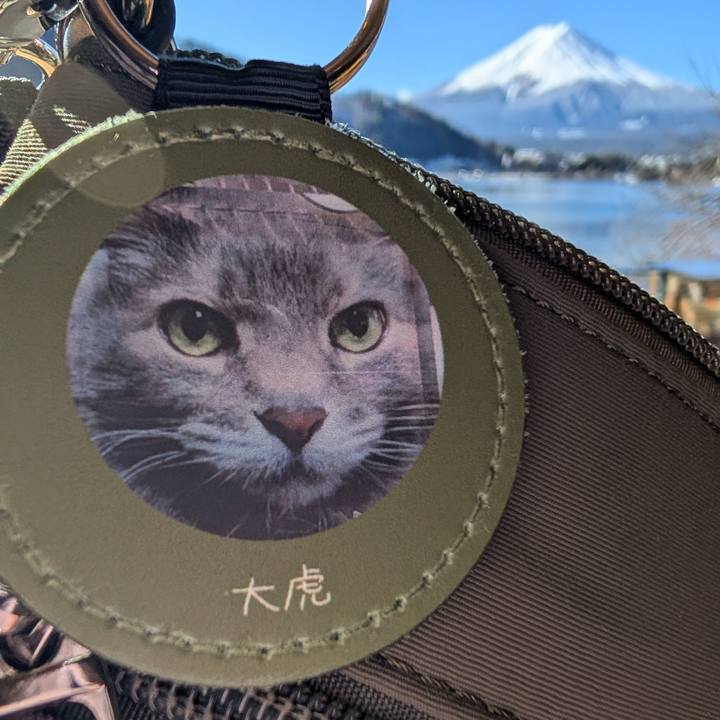 56892faf 29af 487f 867b bd16cf872d2a 1772582188761