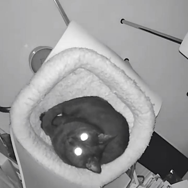 56893b2b 184b 4d9d a939 2400e8dde759 1513418290393