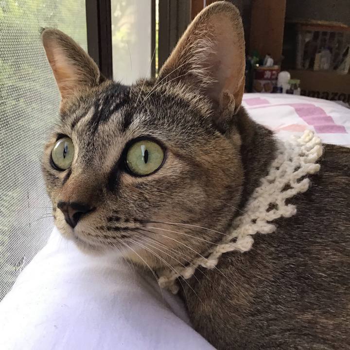 56893f6e 5703 4e57 9671 c8b4d922b5fa 1589446488741