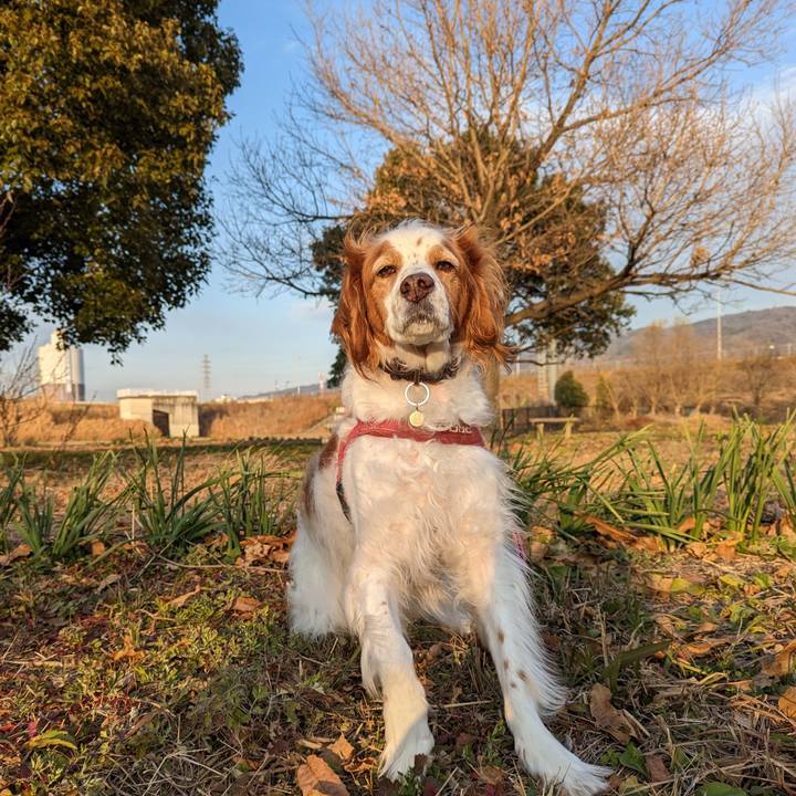 568955e6 6c9e 4b96 80ec 8a79d9c2c704 1672215851891