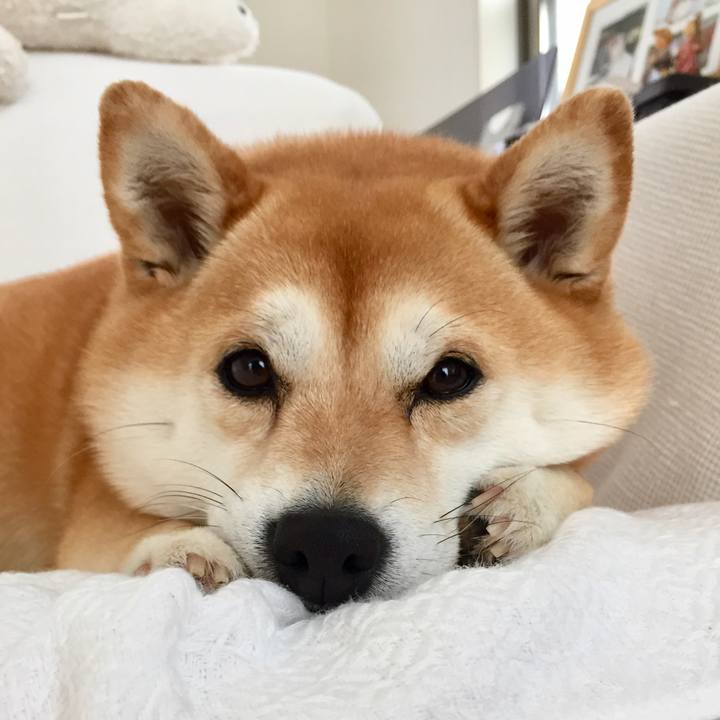 56897039 274b 4648 84b8 50c1a6fa13af 1527483668871