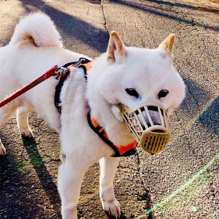 56897cd7 dd21 4ddb a957 131543cf4590 1618092549916