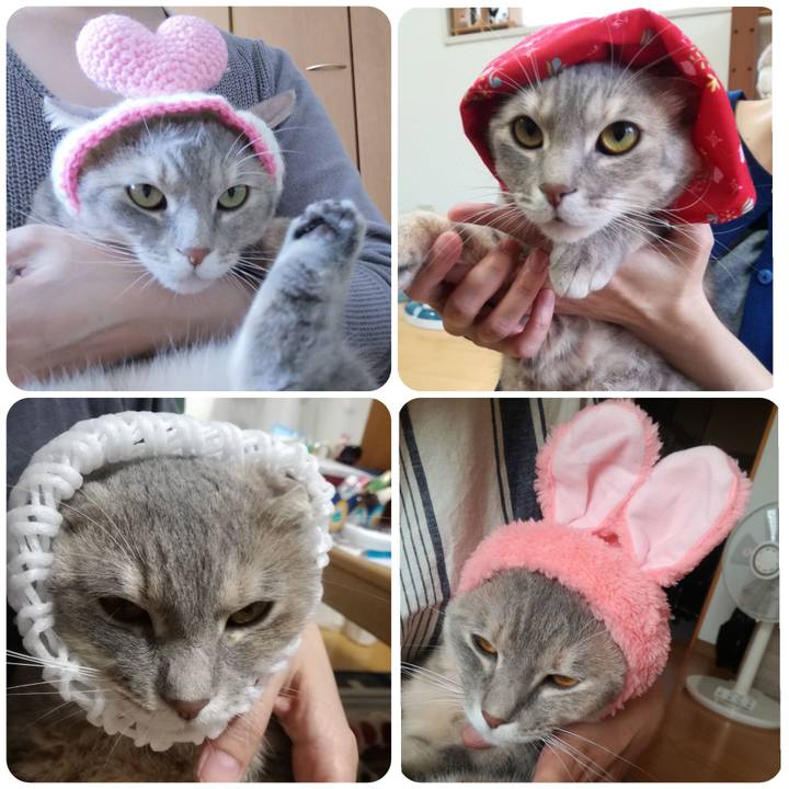 56898029 1435 437a 9916 8833afb0dc76 1569337110102