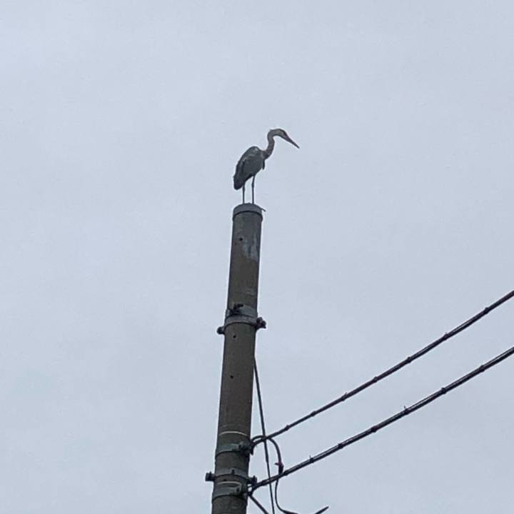 568991a5 8d51 454b 8ebe 8f5e9ff0a290 1663909326802