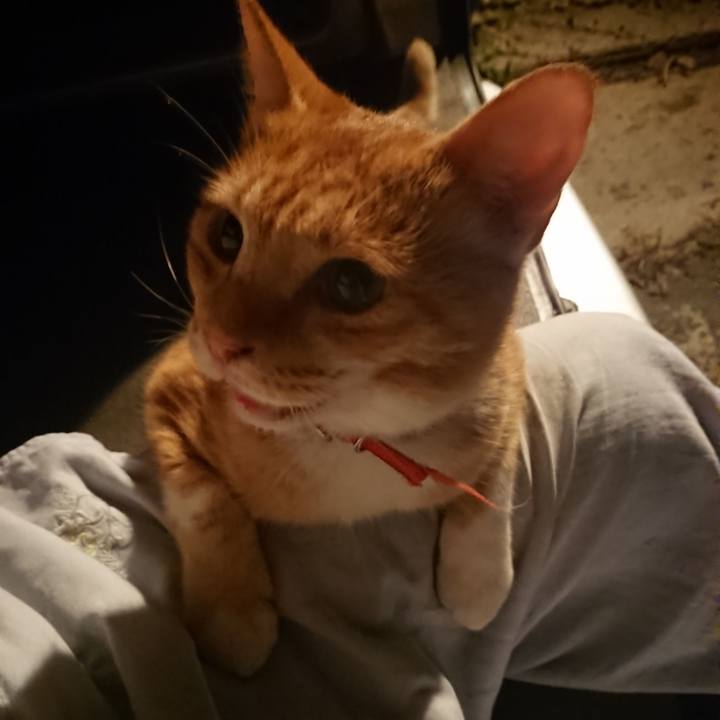 5689e8f2 f74f 4c9c b4bf bb6f055a0e32 1569923189139