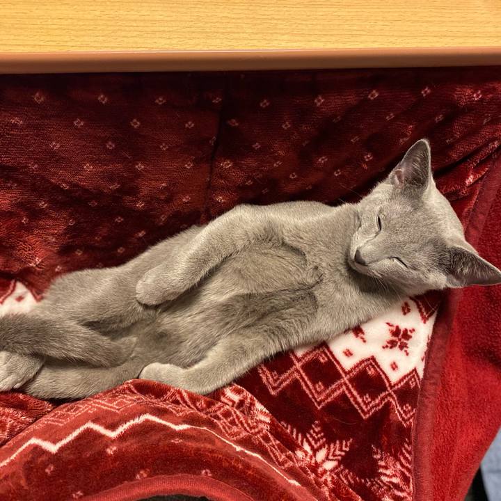 5689efa3 6953 4dcf a38d e67a83dec00c 1606897772608