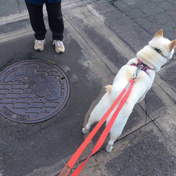 568a11bd dcd1 464e a6ca 462e3ddc6647 1537306349079