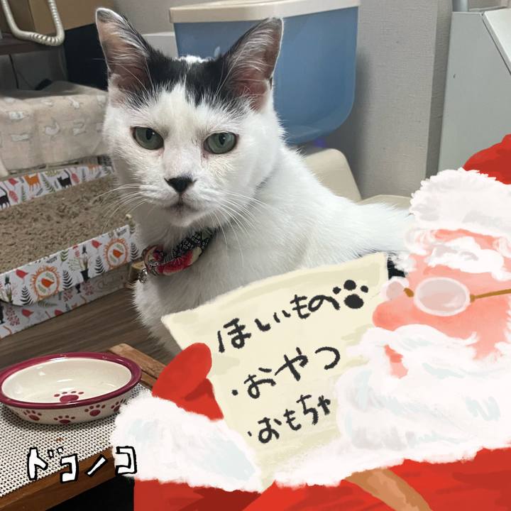 568a3768 11d9 4add 8283 1fa48560ea96 1729654620229