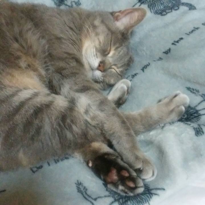 568a973a 7e95 4767 ad12 939463bd5698 1524592310734