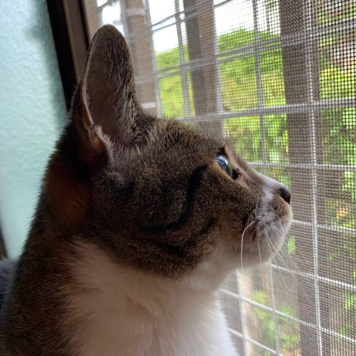 568aad28 125f 451a b632 1b0f510f1d2a 1558400006491