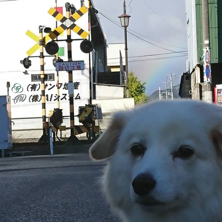 568ab409 f381 484c b276 fb6fce92864b 1541030833841