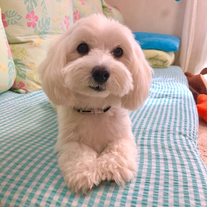 568afa1f 6c9d 4d9d bbba 9d657924aeb2 1539496621390