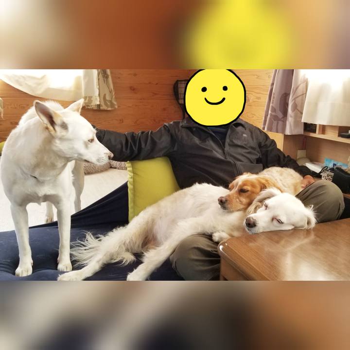 568b4cbf 619f 4337 9a0b fbf5017c48c9 1647140949144