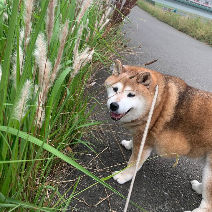 568b5750 0c94 4da8 bced 5b65b9c94ff3 1591228526867