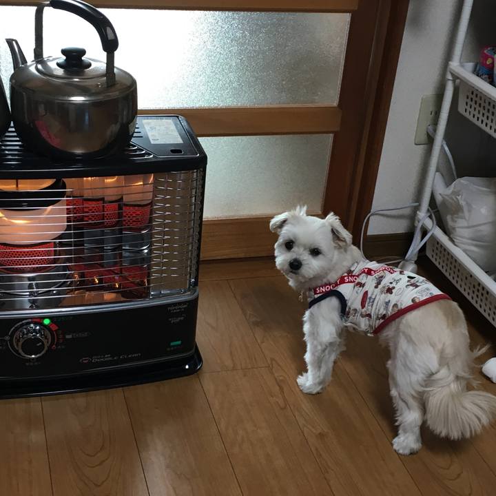 568b68d7 6c77 4db9 bf97 58ea0043a97f 1518398293552