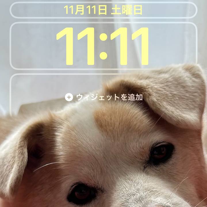 568ba4d6 6e15 4198 8984 9ea1da78e039 1699668796437