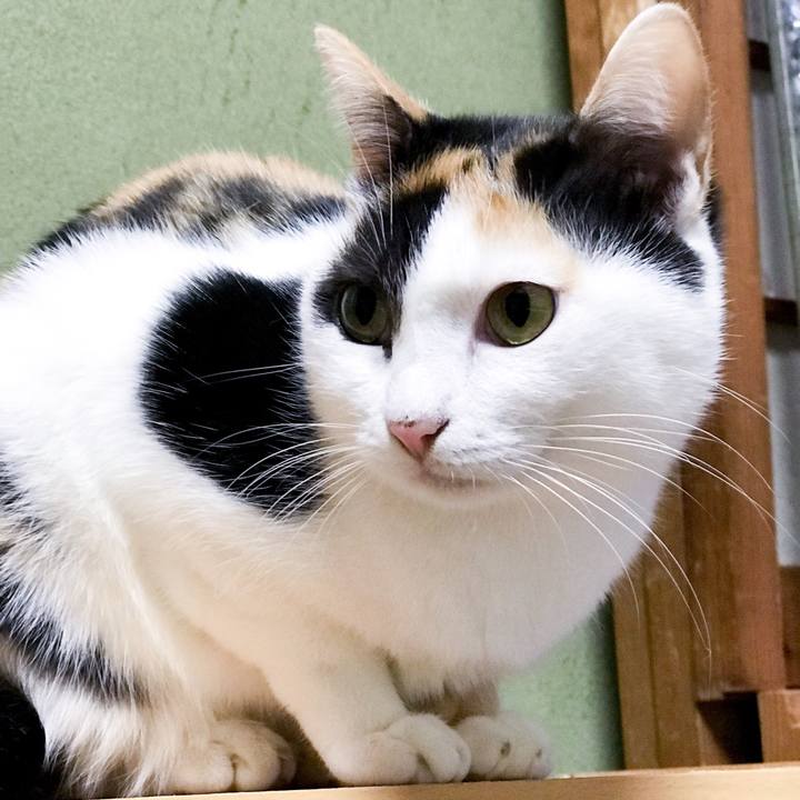 568bd952 fc97 4081 a2e5 c8ea74fbb20c 1511397990805