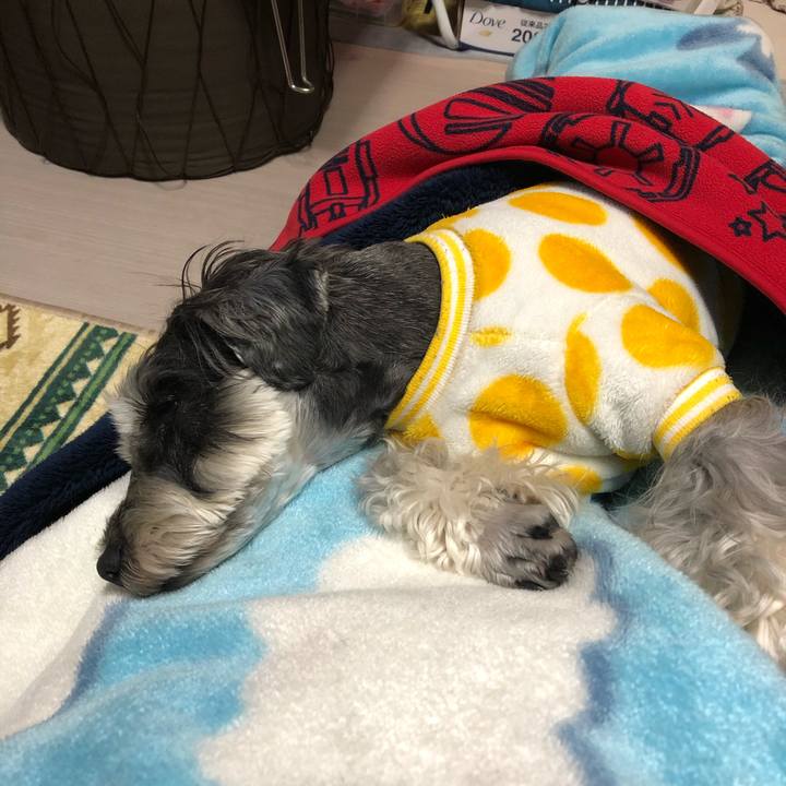 568bf75c ef1e 4ffc 9c88 7592bc4b670e 1641569510192