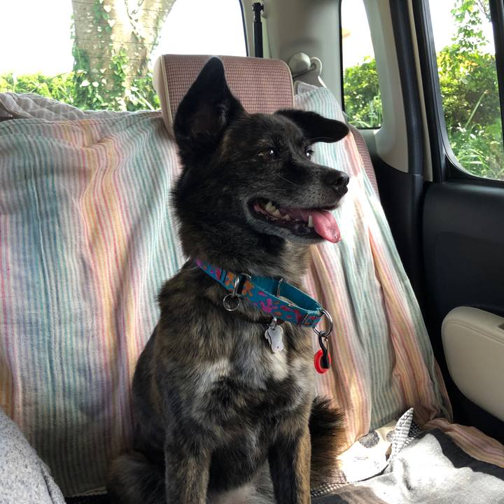 568c0525 48bc 4c63 962c bcdeea71c150 1565587854682