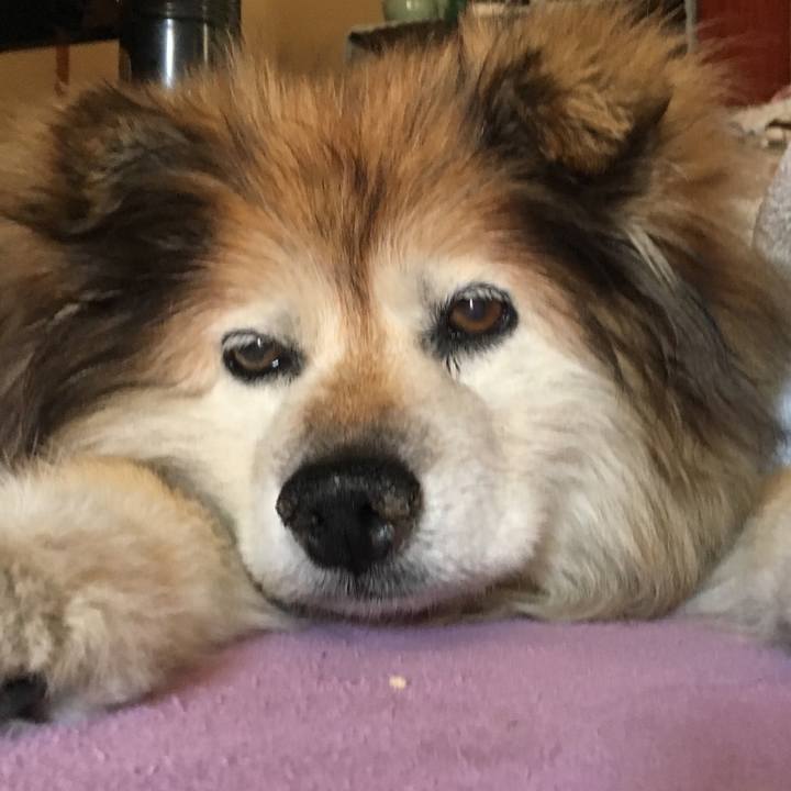 568c2716 824b 445a ae21 e757c64a391d 1575507351436