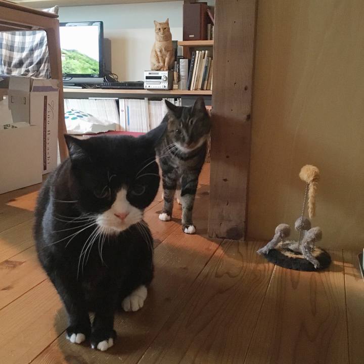 568c3363 19b6 4d70 95cd 4e71d07e42b4 1540332921238