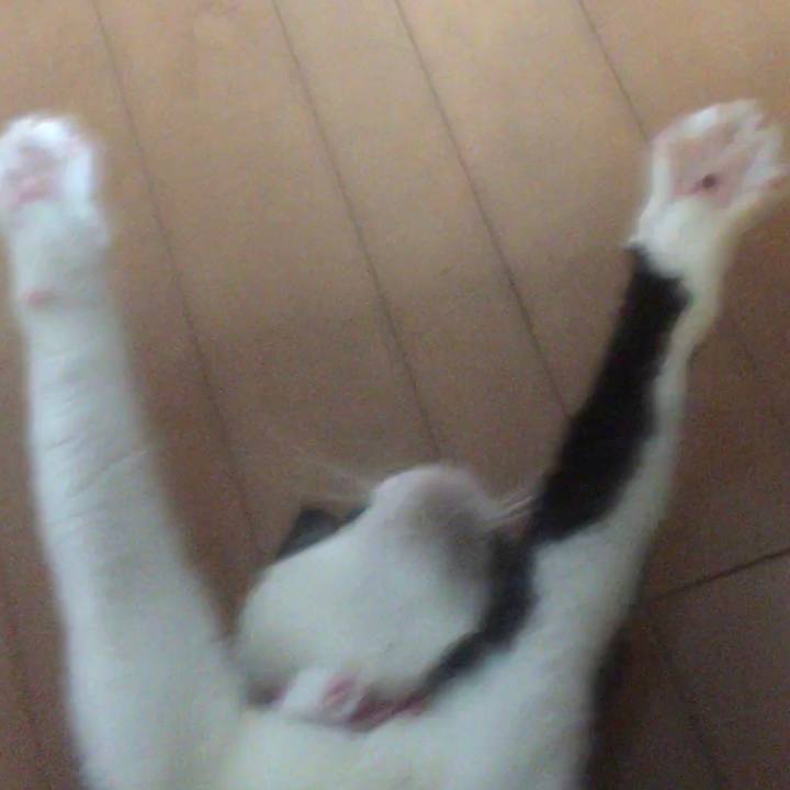 568c3a80 c950 4992 97ef 7d84c2751dae 1589861328302