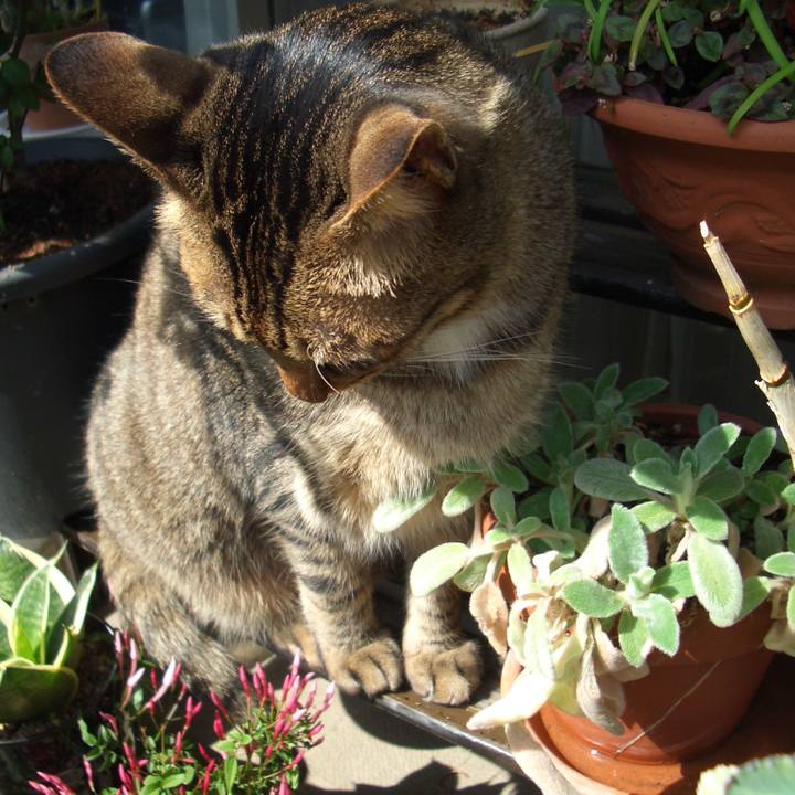 568c5431 b5d2 4cf9 bbb6 031deb57bb6c 1589250350498