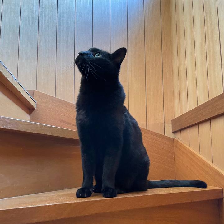 568cb960 871f 4655 93a9 63984fb0658b 1651629995558