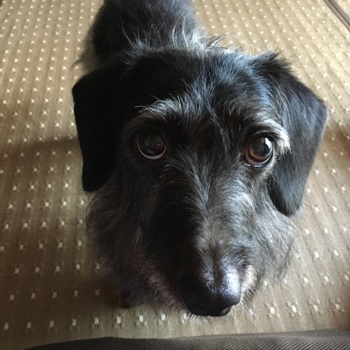 568cc952 0b9c 497d ba9f 20252a71ee86 1532299816462