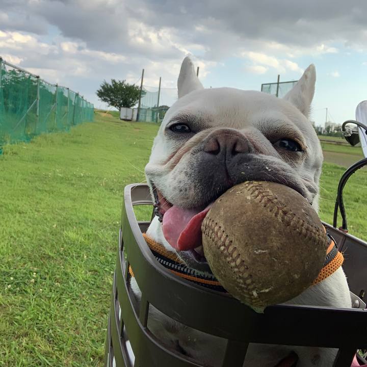 568cd25f bf8b 4917 8f79 0d005e2f619c 1717750739210