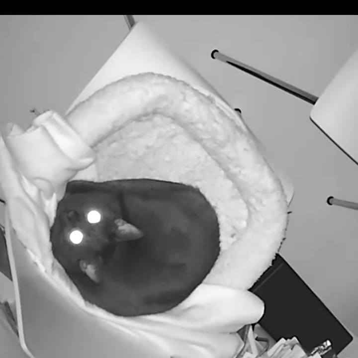 568cd2af 46f1 4c15 b56d bc4e46f27933 1516788712232