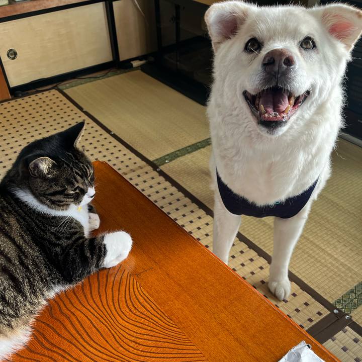 568d2e20 159c 4f3e b78b f35d13cf5ef0 1758934001607