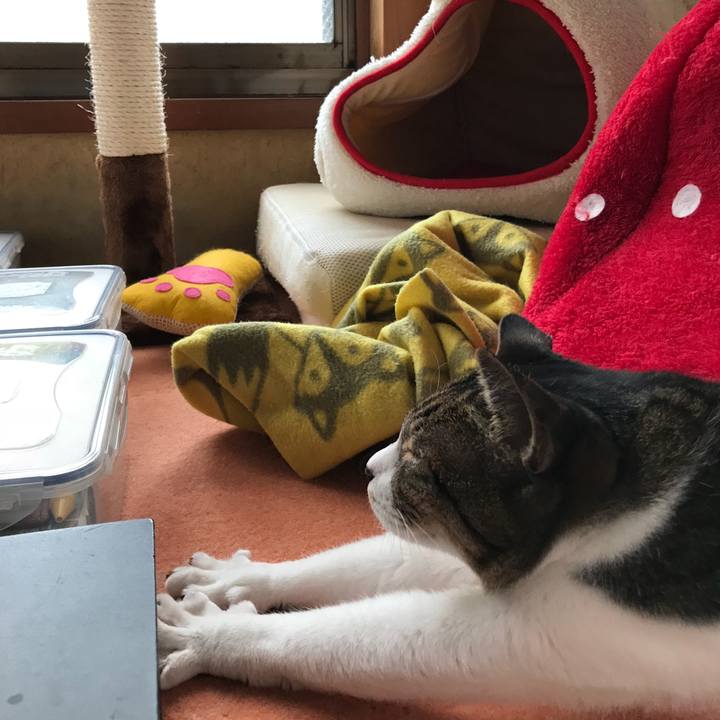 568d31e9 8589 4d83 9670 c75c07471dbe 1519175641499