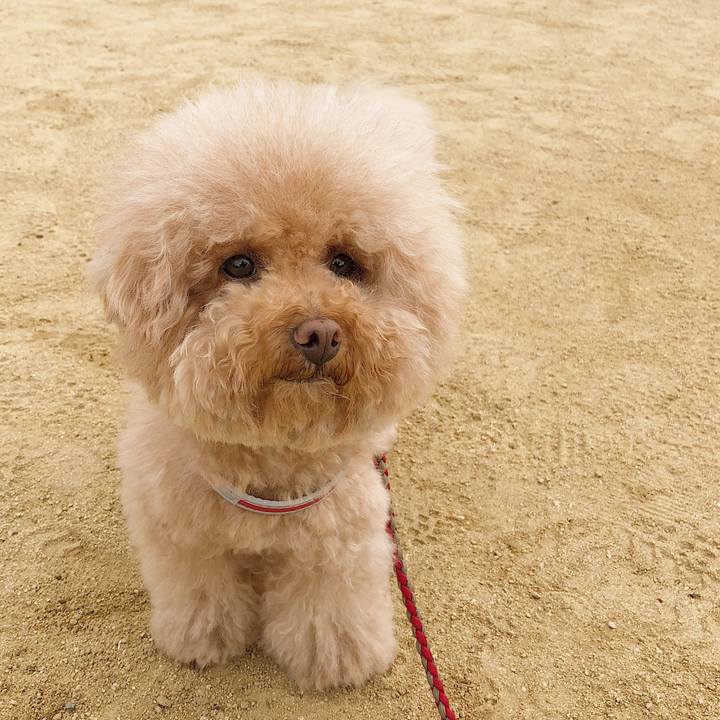 568d7cb8 2da7 4ece afb4 99cea4651176 1523940153362