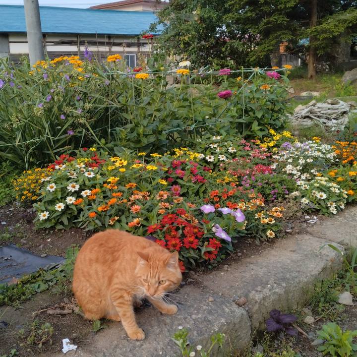 568da6fe afcd 44ac bb6b b8359a7c4240 1719958341451