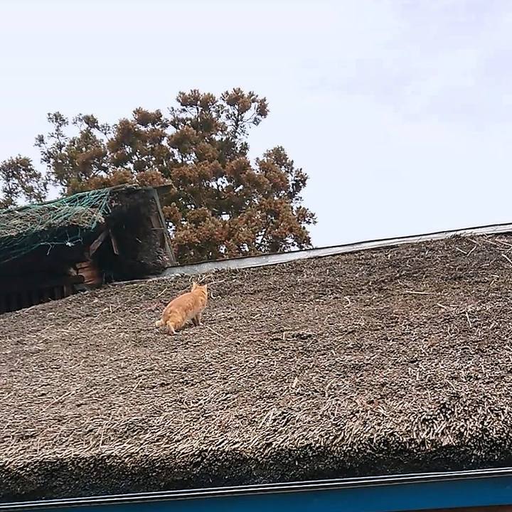 568db97c e075 4d8a 90fc 4ada5db161e4 1648520708246