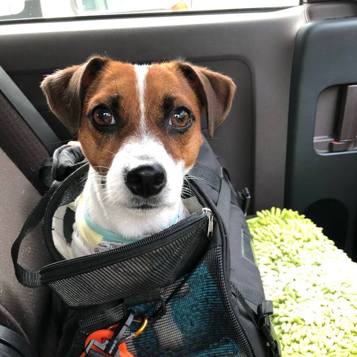 568dd192 35e7 4f8d 9301 d6a659dc1976 1568700080210