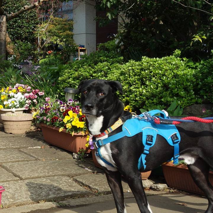 568e3116 c328 458b bb96 b2b06f515f87 1617929482926